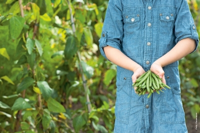 Studio italiano svela come le leguminose migliorano la fertilit&agrave; dei terreni