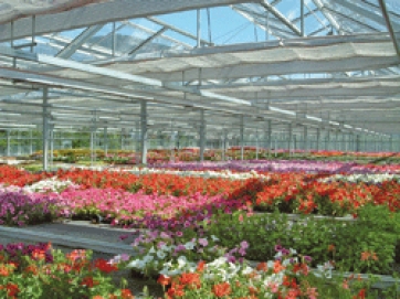 Convegno sulle SERRE MEDITERRANEE