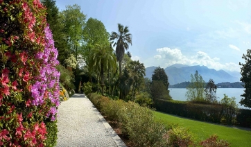 Nuove camelie a Villa Carlotta per raccontare la storia d’Italia