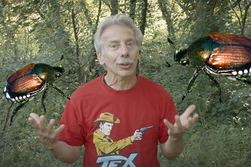 Popillia japonica: Giovanni Storti scende in campo nella lotta contro l'insetto giapponese