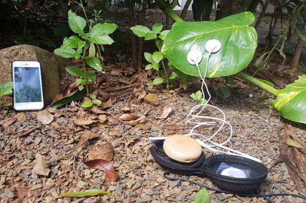 Plants Play Orchestra: le piante suonano dal vivo a Milano