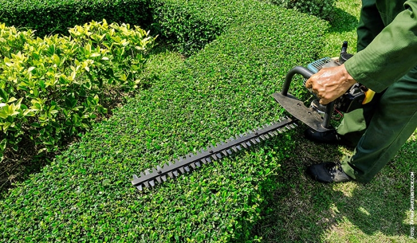 Macchine per il verde, mercato in crescita  nel 2020 nonostante la pandemia