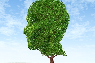 Noi siamo natura: una prospettiva medica sul legame tra ambiente e salute