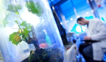 &ldquo;Interfuture&rdquo; punta sui bioagrofarmaci