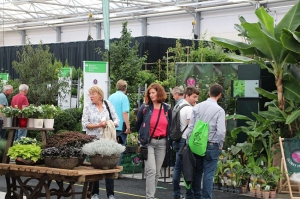 Iscrizioni aperte per i visitatori della fiera Plantarium | GROEN-Direkt fair (24 e 25 Agosto)