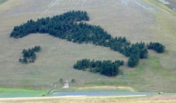 Mai stati tanto al verde, ecco come cambia il nostro Paese