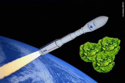 Insalata made in Italy in orbita nello spazio