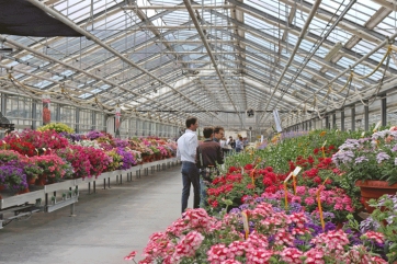 Fiori dall&rsquo;Alto Adige, tutte le novit&agrave;