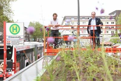 Nelle fermate degli autobus di Amburgo si studiano le pensiline amiche delle api