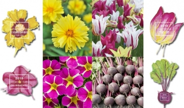 Le piante del 2018 secondo il National Garden Bureau