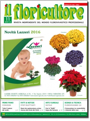 NOVEMBRE 2015