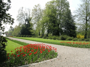 Fascination of Plants Day: 18 maggio, &egrave; qui la festa
