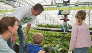 Olanda, “Visit the Greenhouse” festeggia 40 anni
