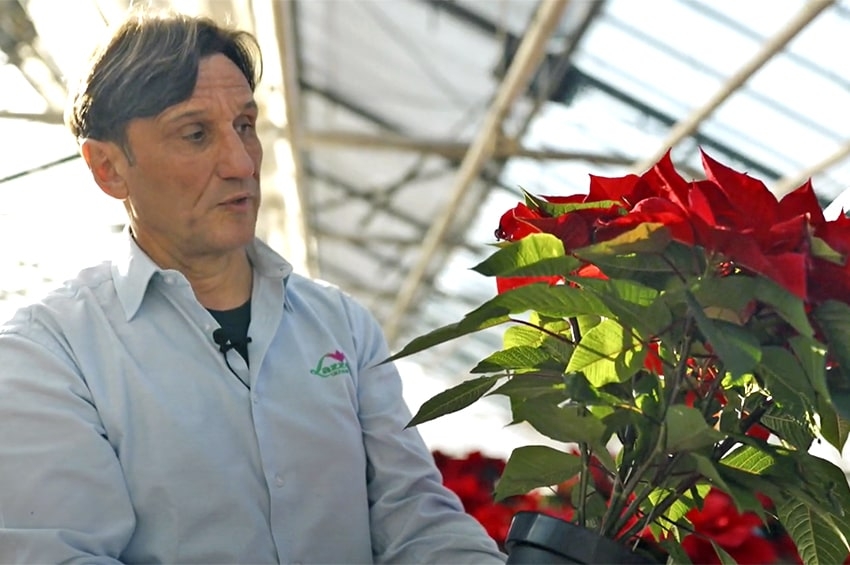 Lazzeri “Poinsettie Collection 2021, tutto in un video