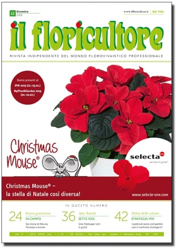 DICEMBRE 2018
