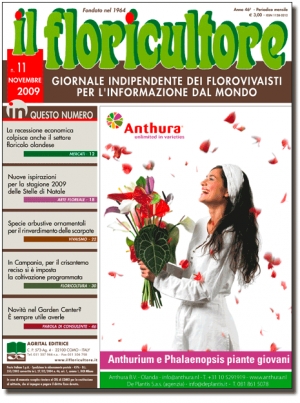 NOVEMBRE 2009