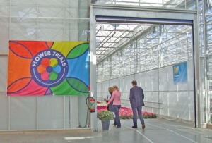 FlowerTrials 2012: novità in presa diretta
