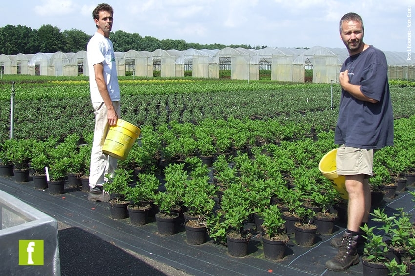 800 Euro di indennità una tantum per gli operai agricoli grazie al Decreto Sostegni bis
