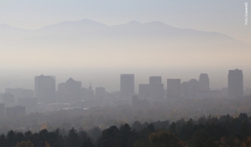 Smog: nemica nebbia, amici alberi