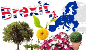 Caos Brexit: le possibili conseguenze sull’import-export di piante e prodotti vegetali