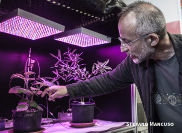 Il georgofilo Stefano Mancuso tra i 20 italiani che ci cambieranno la vita