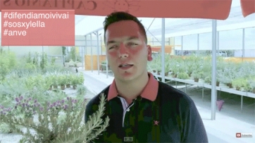 #Xylella, l&rsquo;appello dei vivaisti pugliesi al governatore Emiliano