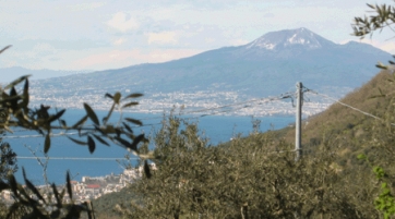 Siccit&agrave; in Campania nel 2012: al via gli aiuti per gli agricoltori colpiti