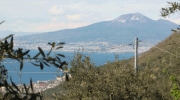 Siccit&agrave; in Campania nel 2012: al via gli aiuti per gli agricoltori colpiti