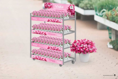 Petunie Vista: Psenner festeggia il successo con una nuova linea di materiali Point of Sale (POS)