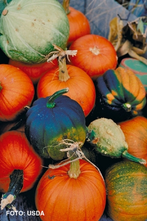Halloween: la crisi taglia anche il “business stregato”