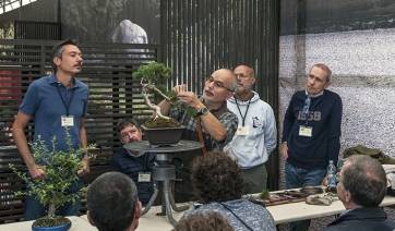 Bonsai &amp; Suiseki: i grandi maestri giapponesi al 13° Raduno Internazionale di Crespi Bonsai