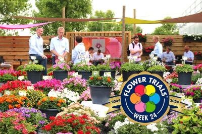 Settimana 24 del 2024: i FlowerTrials spengono 20 candeline