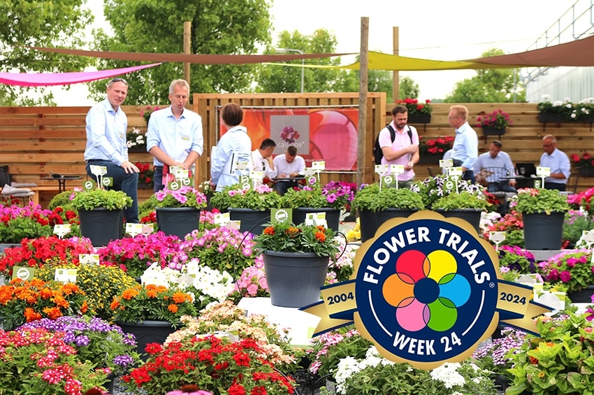 Settimana 24 del 2024: i FlowerTrials spengono 20 candeline