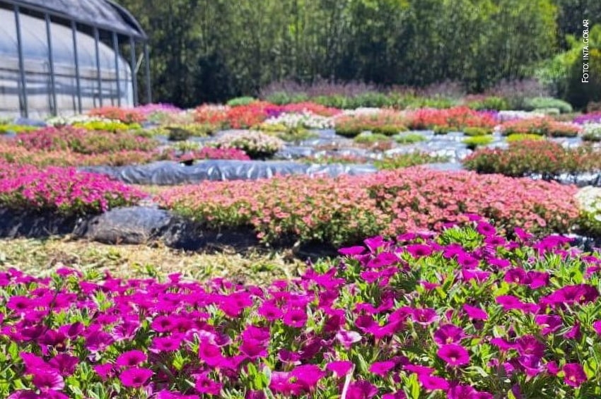 27 Novembre 2025: Open Day all’Istituto Nazionale di Tecnologia Agricola di Buenos Aires