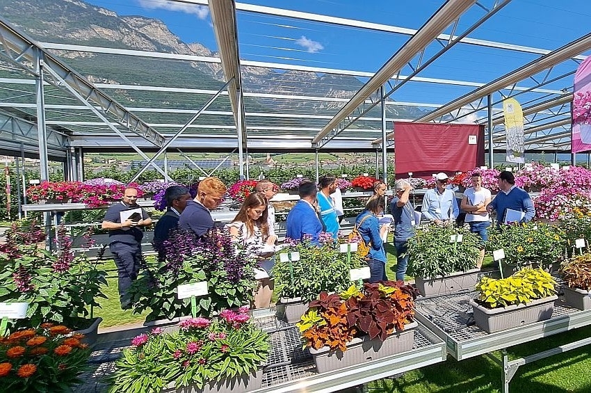 Seconda settimana di Settembre 2025: le Porte Aperte di Psenner e Planta