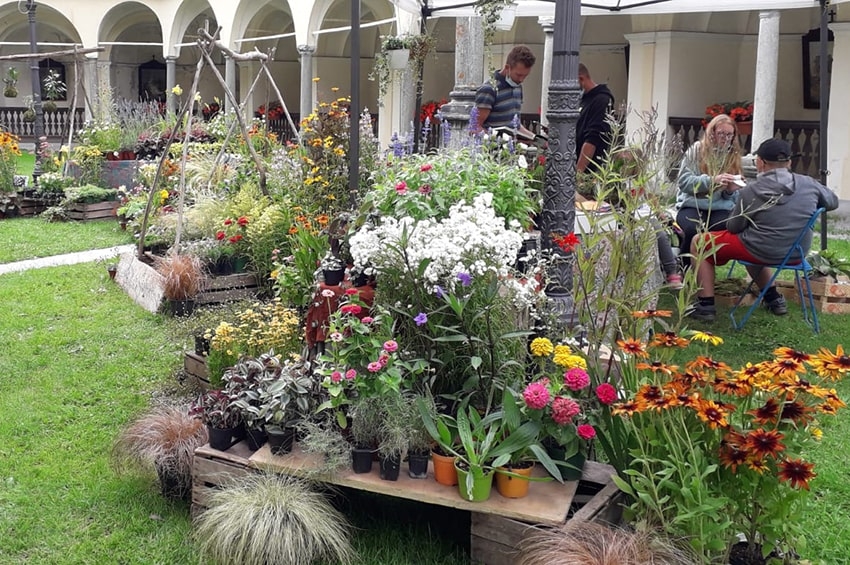 Fiori e piante di montagna in fiera a Gressoney-Saint-Jean