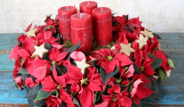 Corona dell&rsquo;Avvento &amp; Poinsettie, connubio perfetto del Natale
