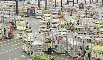 Royal FloraHolland cambia rotta con il &ldquo;Piano 2020&rdquo;