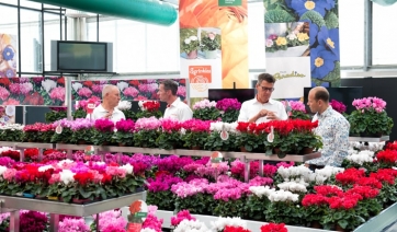 FlowerTrials 2018: tanti buoni motivi per una visita a Schoneveld Breeding