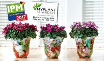 Schoneveld Breeding a IPM e Myplant 2017
