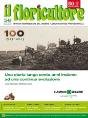 Sommario MAGGIO-GIUGNO 2013