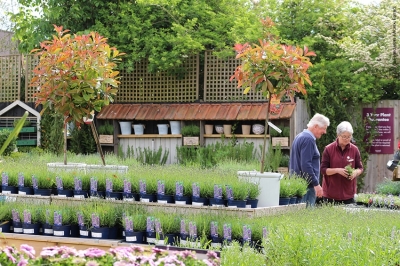 Regno Unito: RHS promuove il verde per interni