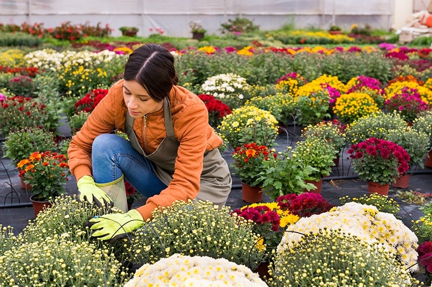 Donne in campo: al via mutui a tasso zero fino a 300mila euro per imprenditrici agricole