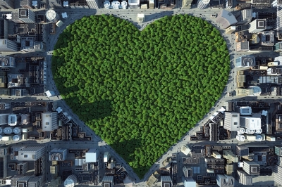 Aderite al Manifesto per la difesa del verde urbano!