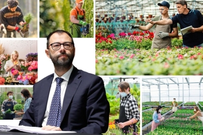 Appello dei Florovivaisti Italiani a Patuanelli: sbloccare disegno di legge sul florovivaismo