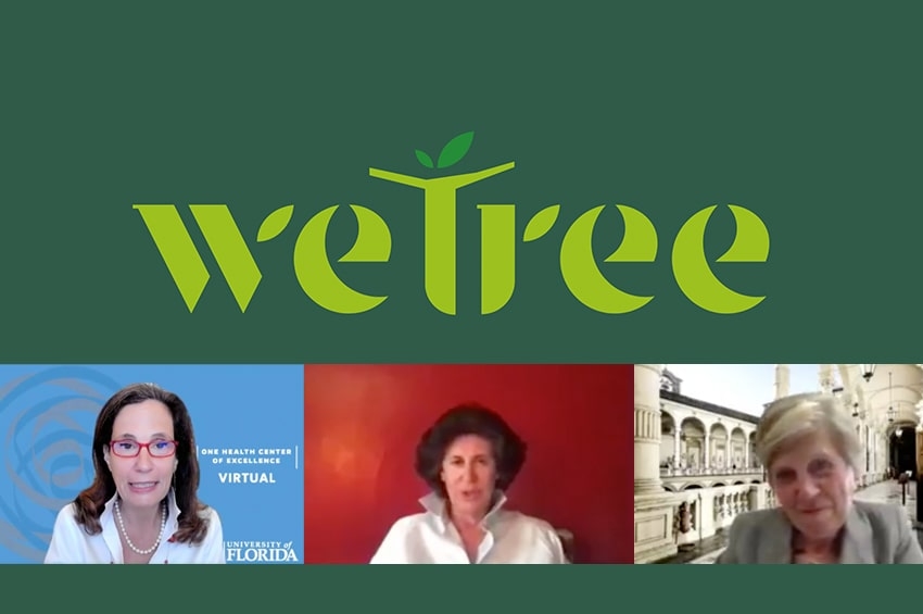 weTree, il progetto che concretizza la salute circolare grazie alle piante