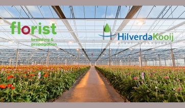 Florist Holland e HilverdaKooij pronte ad unirsi