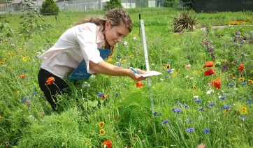 FORMAZIONE - Tecnico superiore del verde: iscrizioni aperte alla Fondazione Mach