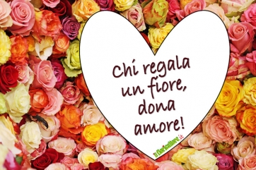 San Valentino 2011: &egrave; il fiore il regalo pi&ugrave; gettonato