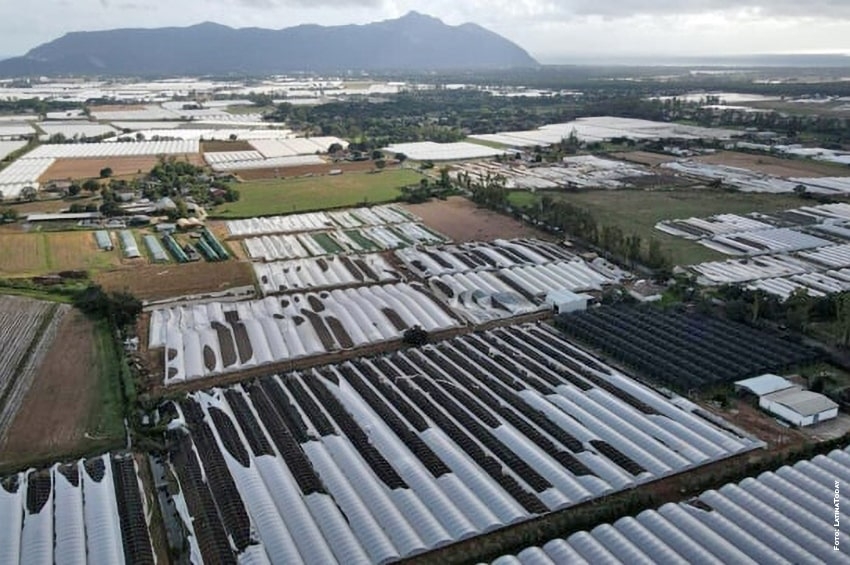 MALTEMPO - 29 Settembre 2022: l'Agro Pontino di nuovo flagellato da vento e acqua